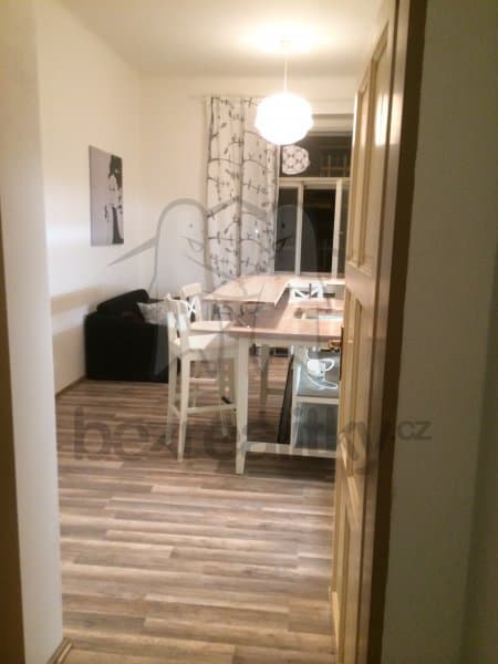 1 bedroom with open-plan kitchen flat to rent, 42 m², Rostislavova, Prague, Prague 1 bedroom with open-plan kitchen flat to rent, 42 m², Rostislavova, Prague, Prague