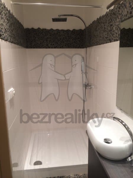 1 bedroom with open-plan kitchen flat to rent, 42 m², Rostislavova, Prague, Prague 1 bedroom with open-plan kitchen flat to rent, 42 m², Rostislavova, Prague, Prague