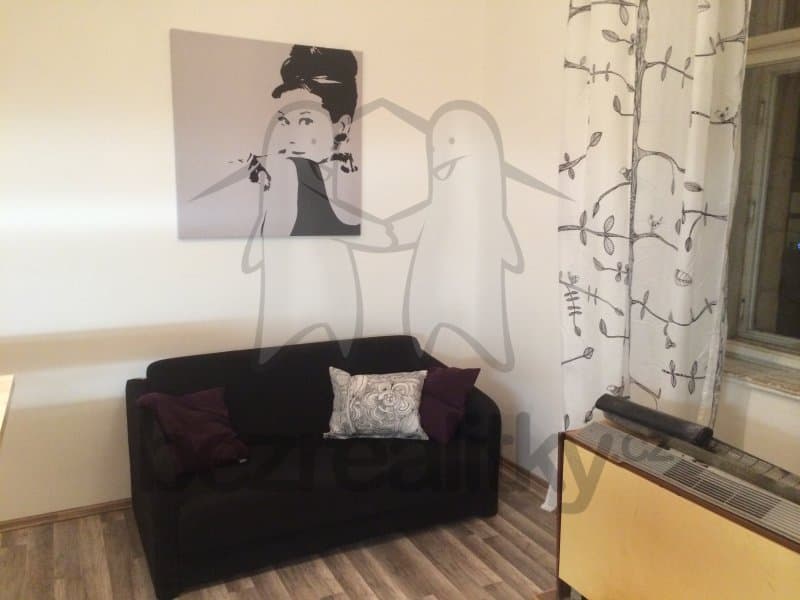 1 bedroom with open-plan kitchen flat to rent, 42 m², Rostislavova, Prague, Prague 1 bedroom with open-plan kitchen flat to rent, 42 m², Rostislavova, Prague, Prague