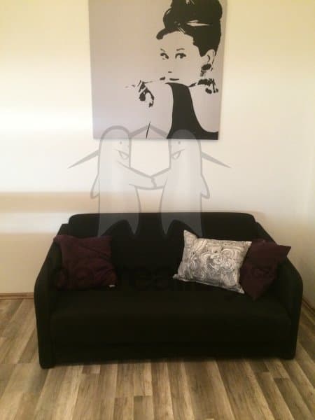 1 bedroom with open-plan kitchen flat to rent, 42 m², Rostislavova, Prague, Prague 1 bedroom with open-plan kitchen flat to rent, 42 m², Rostislavova, Prague, Prague