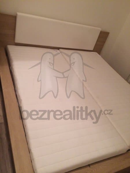 1 bedroom with open-plan kitchen flat to rent, 42 m², Rostislavova, Prague, Prague 1 bedroom with open-plan kitchen flat to rent, 42 m², Rostislavova, Prague, Prague