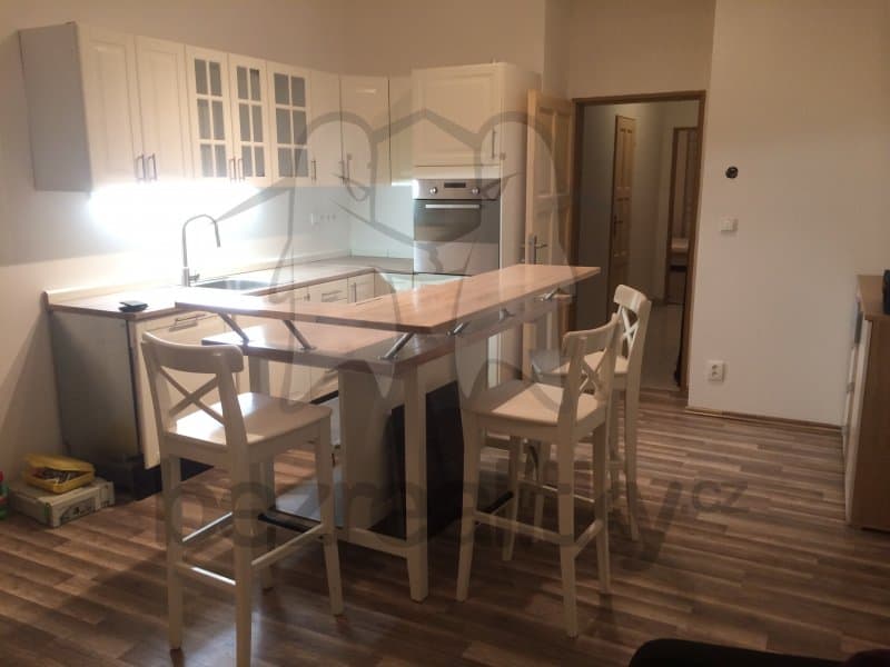 1 bedroom with open-plan kitchen flat to rent, 42 m², Rostislavova, Prague, Prague 1 bedroom with open-plan kitchen flat to rent, 42 m², Rostislavova, Prague, Prague