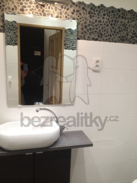 1 bedroom with open-plan kitchen flat to rent, 42 m², Rostislavova, Prague, Prague 1 bedroom with open-plan kitchen flat to rent, 42 m², Rostislavova, Prague, Prague