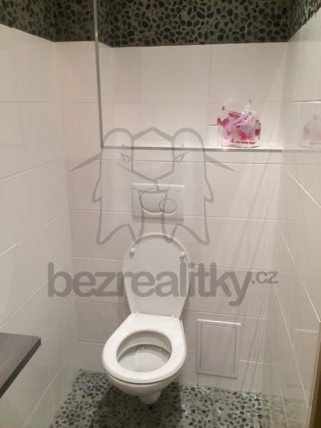 1 bedroom with open-plan kitchen flat to rent, 42 m², Rostislavova, Prague, Prague 1 bedroom with open-plan kitchen flat to rent, 42 m², Rostislavova, Prague, Prague