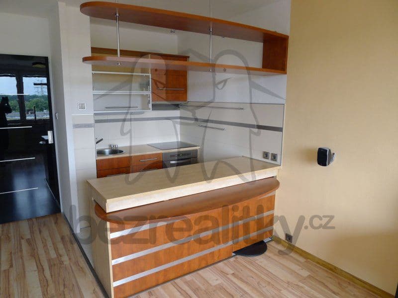 1 bedroom with open-plan kitchen flat to rent, 42 m², Vazovova, Prague, Prague 1 bedroom with open-plan kitchen flat to rent, 42 m², Vazovova, Prague, Prague