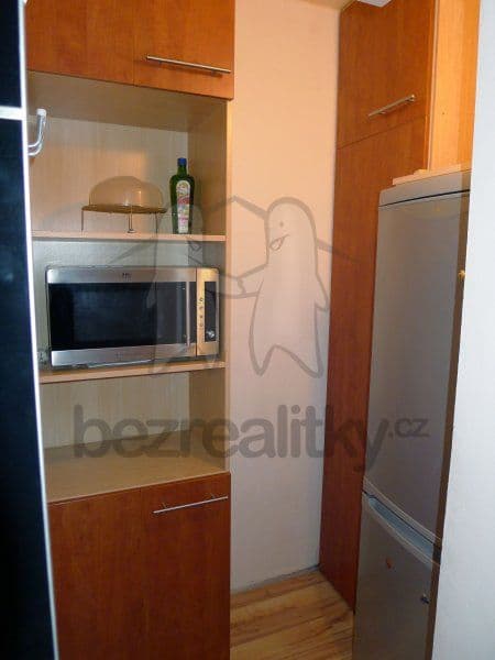 1 bedroom with open-plan kitchen flat to rent, 42 m², Vazovova, Prague, Prague 1 bedroom with open-plan kitchen flat to rent, 42 m², Vazovova, Prague, Prague