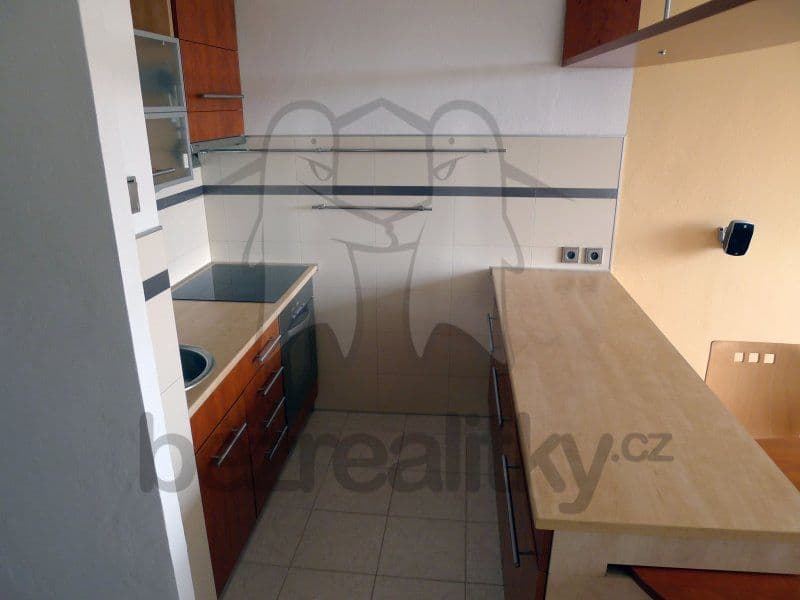 1 bedroom with open-plan kitchen flat to rent, 42 m², Vazovova, Prague, Prague 1 bedroom with open-plan kitchen flat to rent, 42 m², Vazovova, Prague, Prague