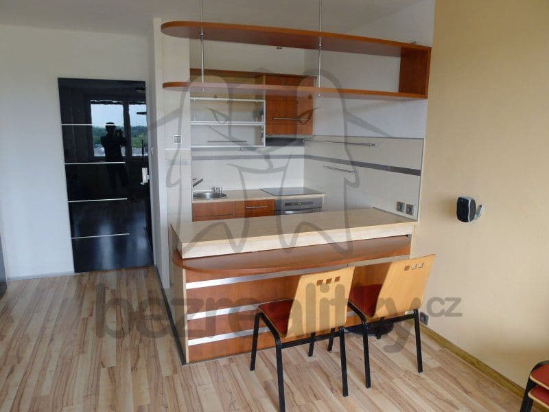 1 bedroom with open-plan kitchen flat to rent, 42 m², Vazovova, Prague, Prague 1 bedroom with open-plan kitchen flat to rent, 42 m², Vazovova, Prague, Prague