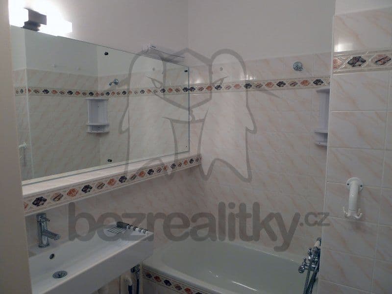 1 bedroom with open-plan kitchen flat to rent, 42 m², Vazovova, Prague, Prague 1 bedroom with open-plan kitchen flat to rent, 42 m², Vazovova, Prague, Prague