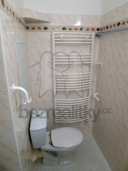 1 bedroom with open-plan kitchen flat to rent, 42 m², Vazovova, Prague, Prague 1 bedroom with open-plan kitchen flat to rent, 42 m², Vazovova, Prague, Prague