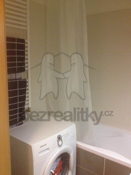 1 bedroom with open-plan kitchen flat to rent, 60 m², V dolině, Prague, Prague 1 bedroom with open-plan kitchen flat to rent, 60 m², V dolině, Prague, Prague