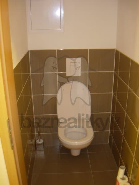 1 bedroom with open-plan kitchen flat to rent, 60 m², V dolině, Prague, Prague 1 bedroom with open-plan kitchen flat to rent, 60 m², V dolině, Prague, Prague