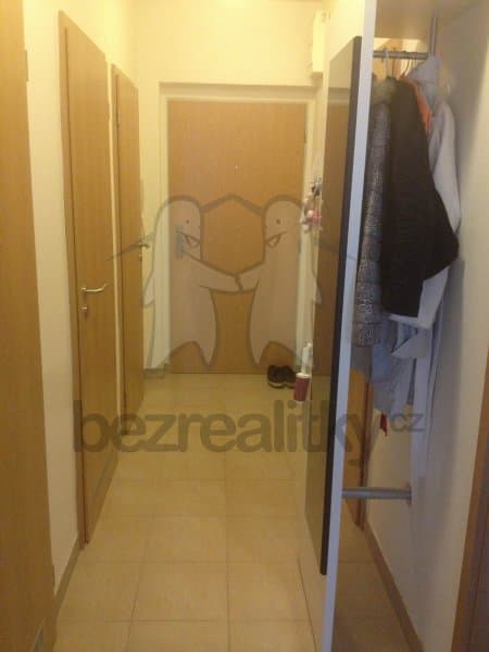 1 bedroom with open-plan kitchen flat to rent, 60 m², V dolině, Prague, Prague 1 bedroom with open-plan kitchen flat to rent, 60 m², V dolině, Prague, Prague