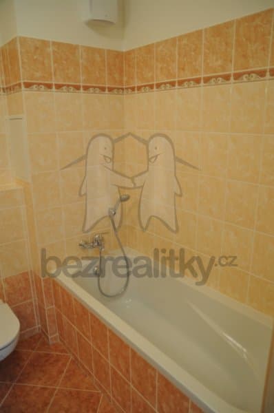 1 bedroom with open-plan kitchen flat to rent, 44 m², Sicherova, Prague, Prague 1 bedroom with open-plan kitchen flat to rent, 44 m², Sicherova, Prague, Prague