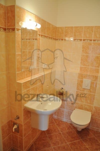 1 bedroom with open-plan kitchen flat to rent, 44 m², Sicherova, Prague, Prague 1 bedroom with open-plan kitchen flat to rent, 44 m², Sicherova, Prague, Prague