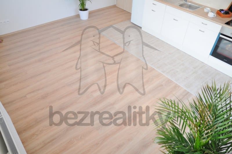 1 bedroom with open-plan kitchen flat to rent, 44 m², Sicherova, Prague, Prague 1 bedroom with open-plan kitchen flat to rent, 44 m², Sicherova, Prague, Prague