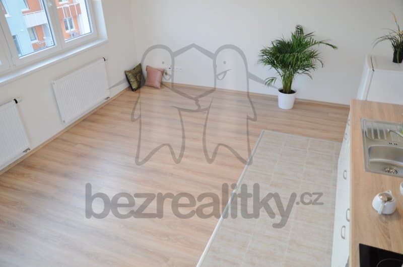 1 bedroom with open-plan kitchen flat to rent, 44 m², Sicherova, Prague, Prague 1 bedroom with open-plan kitchen flat to rent, 44 m², Sicherova, Prague, Prague
