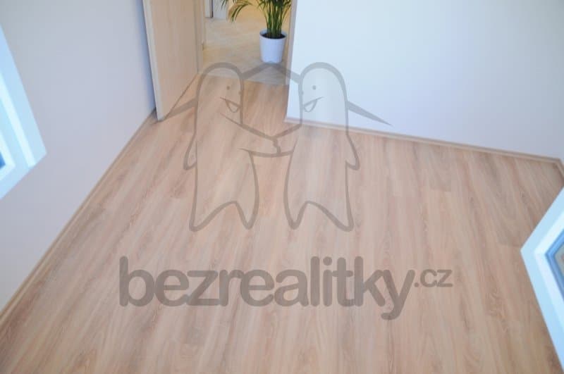 1 bedroom with open-plan kitchen flat to rent, 44 m², Sicherova, Prague, Prague 1 bedroom with open-plan kitchen flat to rent, 44 m², Sicherova, Prague, Prague