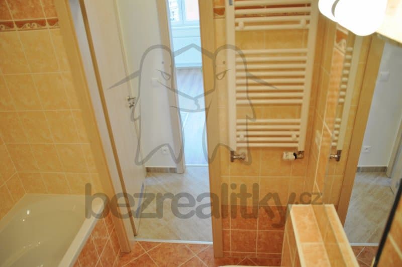 1 bedroom with open-plan kitchen flat to rent, 44 m², Sicherova, Prague, Prague 1 bedroom with open-plan kitchen flat to rent, 44 m², Sicherova, Prague, Prague