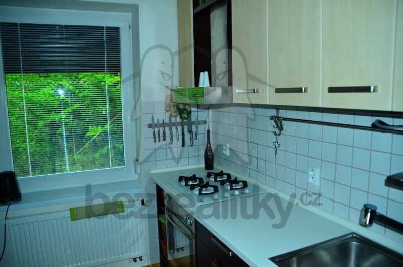 1 bedroom with open-plan kitchen flat to rent, 56 m², Karla IV, Rosice, Jihomoravský Region 1 bedroom with open-plan kitchen flat to rent, 56 m², Karla IV, Rosice, Jihomoravský Region
