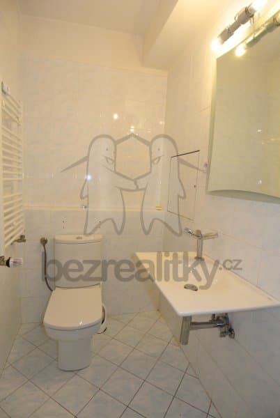 1 bedroom with open-plan kitchen flat to rent, 50 m², Hnězdenská, Prague, Prague 1 bedroom with open-plan kitchen flat to rent, 50 m², Hnězdenská, Prague, Prague