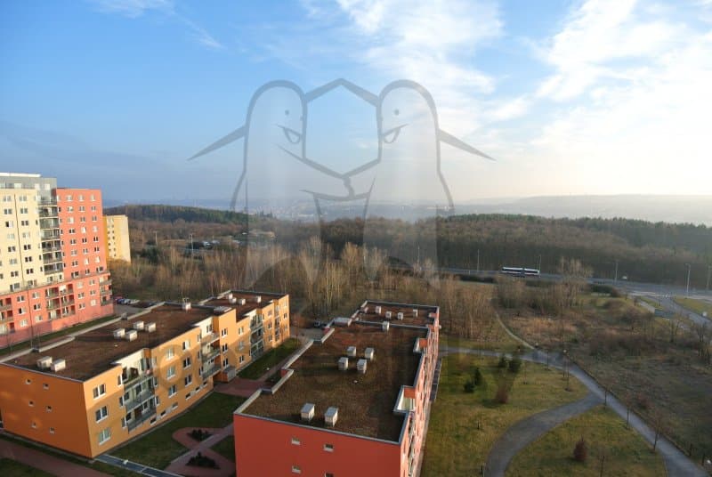 1 bedroom with open-plan kitchen flat to rent, 50 m², Hnězdenská, Prague, Prague 1 bedroom with open-plan kitchen flat to rent, 50 m², Hnězdenská, Prague, Prague