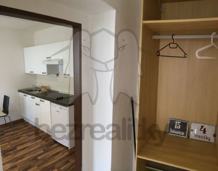 1 bedroom with open-plan kitchen flat to rent, 42 m², Hraničky, Brno, Jihomoravský Region