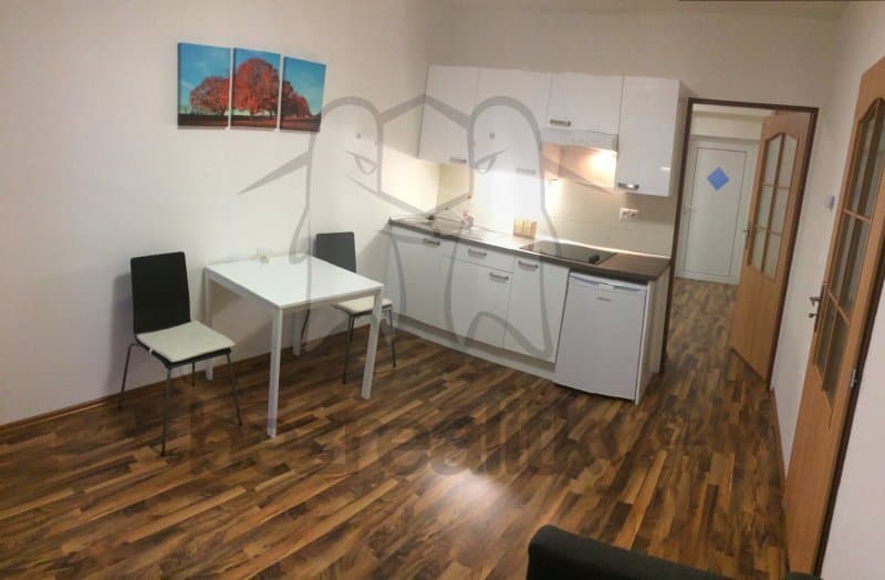 1 bedroom with open-plan kitchen flat to rent, 42 m², Hraničky, Brno, Jihomoravský Region