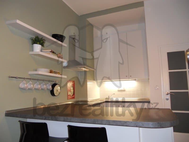 1 bedroom with open-plan kitchen flat to rent, 45 m², Libická, Prague, Prague 1 bedroom with open-plan kitchen flat to rent, 45 m², Libická, Prague, Prague