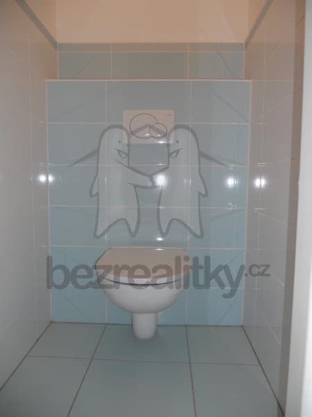 1 bedroom with open-plan kitchen flat to rent, 45 m², Libická, Prague, Prague 1 bedroom with open-plan kitchen flat to rent, 45 m², Libická, Prague, Prague