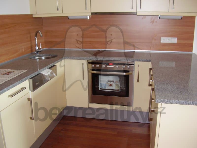 1 bedroom with open-plan kitchen flat to rent, 69 m², Paříkova, Prague, Prague 1 bedroom with open-plan kitchen flat to rent, 69 m², Paříkova, Prague, Prague