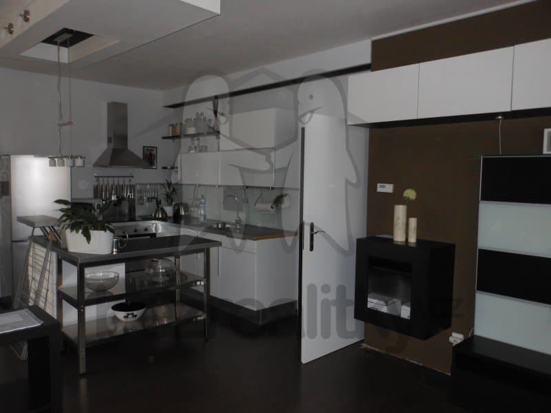 1 bedroom with open-plan kitchen flat to rent, 56 m², 24015, Holubice, Středočeský Region 1 bedroom with open-plan kitchen flat to rent, 56 m², 24015, Holubice, Středočeský Region