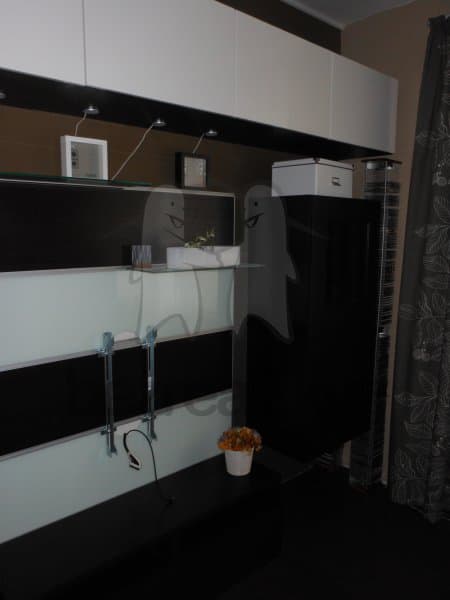 1 bedroom with open-plan kitchen flat to rent, 56 m², 24015, Holubice, Středočeský Region 1 bedroom with open-plan kitchen flat to rent, 56 m², 24015, Holubice, Středočeský Region