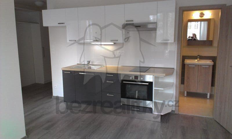 1 bedroom with open-plan kitchen flat to rent, 35 m², U měšťanského pivovaru, Prague, Prague 1 bedroom with open-plan kitchen flat to rent, 35 m², U měšťanského pivovaru, Prague, Prague