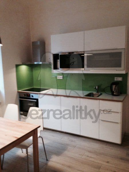 1 bedroom with open-plan kitchen flat to rent, 37 m², U Santošky, Prague, Prague 1 bedroom with open-plan kitchen flat to rent, 37 m², U Santošky, Prague, Prague