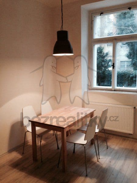 1 bedroom with open-plan kitchen flat to rent, 37 m², U Santošky, Prague, Prague 1 bedroom with open-plan kitchen flat to rent, 37 m², U Santošky, Prague, Prague