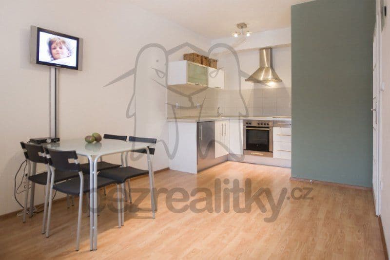 Studio flat to rent, 35 m², Plzeňská, Prague, Prague Studio flat to rent, 35 m², Plzeňská, Prague, Prague