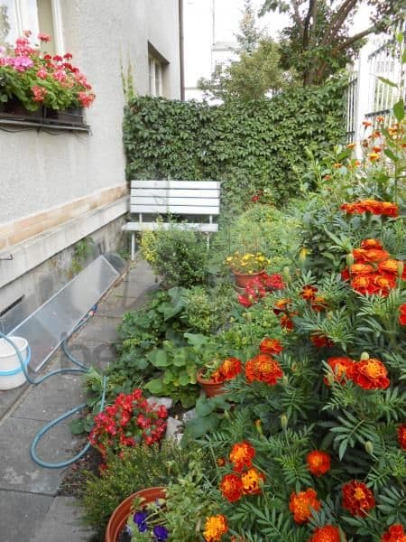 1 bedroom with open-plan kitchen flat to rent, 40 m², Roztylské sady, Prague, Prague 1 bedroom with open-plan kitchen flat to rent, 40 m², Roztylské sady, Prague, Prague