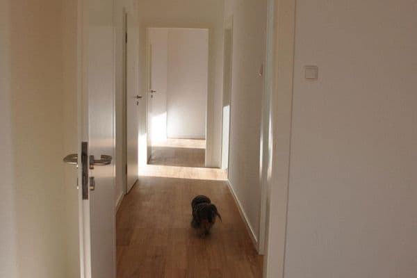 2 bedroom flat to rent, 41 m², Essen 2 bedroom flat to rent, 41 m², Essen