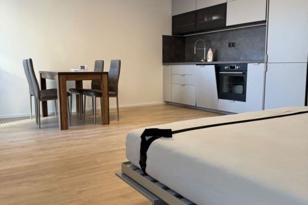 Studio flat to rent, 39 m², Auerswaldova, Brno Studio flat to rent, 39 m², Auerswaldova, Brno