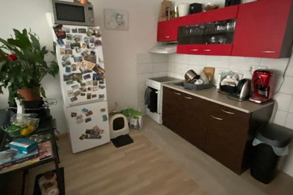 1 bedroom with open-plan kitchen flat to rent, 42 m², Krkoškova, Brno 1 bedroom with open-plan kitchen flat to rent, 42 m², Krkoškova, Brno