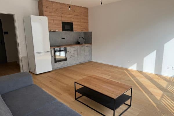 Studio flat to rent, 35 m², Bratislavská, Brno, Jihomoravský Region Studio flat to rent, 35 m², Bratislavská, Brno, Jihomoravský Region