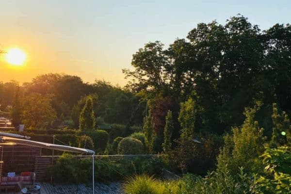 House to rent House to rent