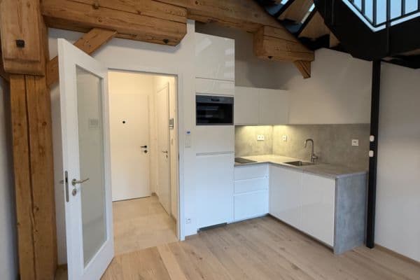 1 bedroom with open-plan kitchen flat to rent, 43 m², Závišova, Praha 1 bedroom with open-plan kitchen flat to rent, 43 m², Závišova, Praha