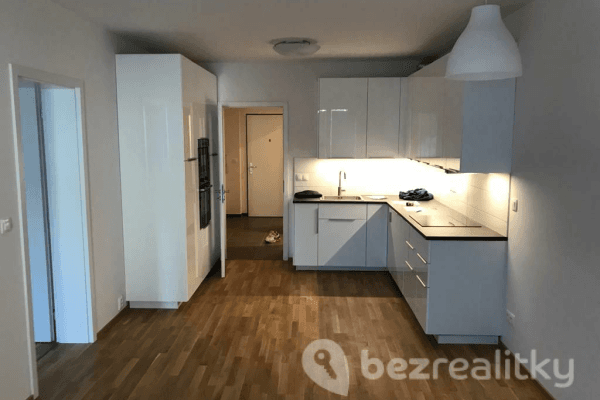 1 bedroom with open-plan kitchen flat to rent, 57 m², Hadovitá, Praha 1 bedroom with open-plan kitchen flat to rent, 57 m², Hadovitá, Praha