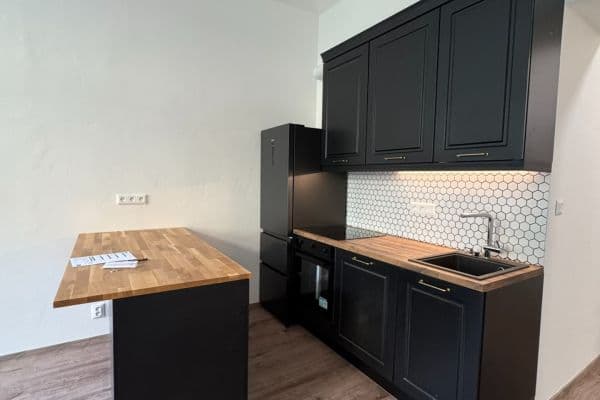 2 bedroom with open-plan kitchen flat to rent, 62 m², Sezimova, Praha 2 bedroom with open-plan kitchen flat to rent, 62 m², Sezimova, Praha