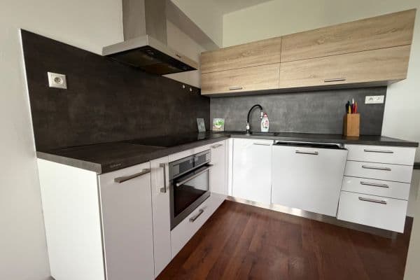 1 bedroom with open-plan kitchen flat for sale, 48 m², V Honech, Klecany 1 bedroom with open-plan kitchen flat for sale, 48 m², V Honech, Klecany