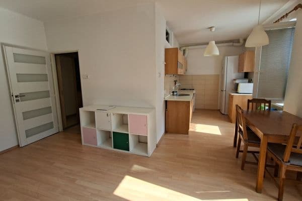 1 bedroom with open-plan kitchen flat to rent, 53 m², Malovická, Praha 1 bedroom with open-plan kitchen flat to rent, 53 m², Malovická, Praha