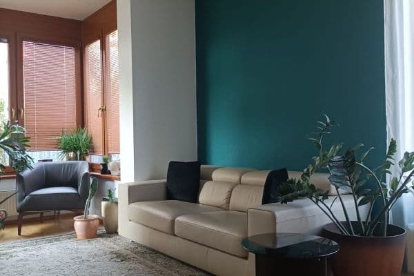 1 bedroom with open-plan kitchen flat to rent, 65 m², Na Císařce, Praha 1 bedroom with open-plan kitchen flat to rent, 65 m², Na Císařce, Praha