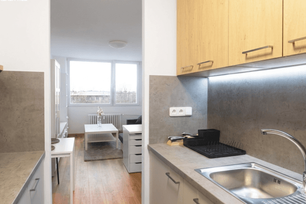 1 bedroom with open-plan kitchen flat for sale, 42 m², Bendlova, Praha 1 bedroom with open-plan kitchen flat for sale, 42 m², Bendlova, Praha